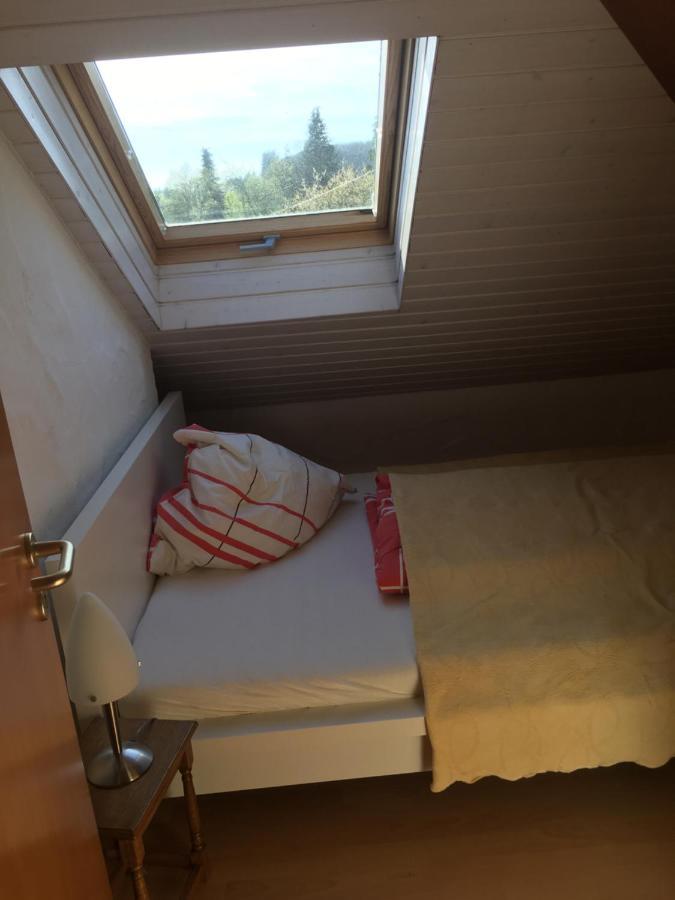 Ferienwohnung Nett Adenau Kültér fotó